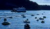 Active pass fishing boats and ferry 1980.jpg