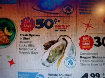 Oysters $.50 each.jpg