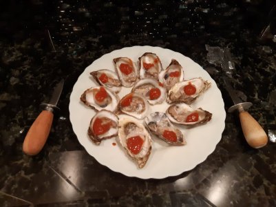 oysters dec 27 -2 .jpg