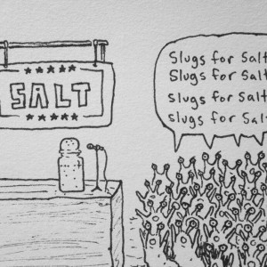 Slugs For Salt