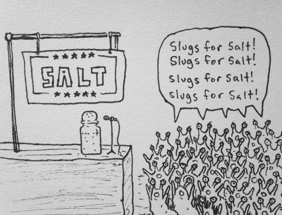 Slugs For Salt