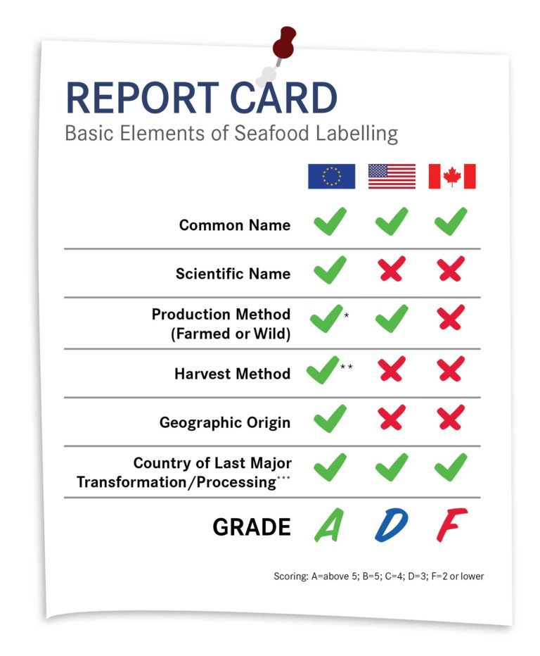 report-card-768x932.jpg