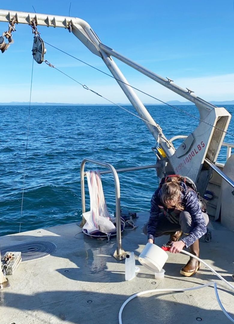 Jennifer Fisher preserving a plankton sample collected aboard the R/V Elakha in 2021. These samples will be taken back to the laboratory, where the zooplankton species will later be identified and counted. (NOAA Fisheries)