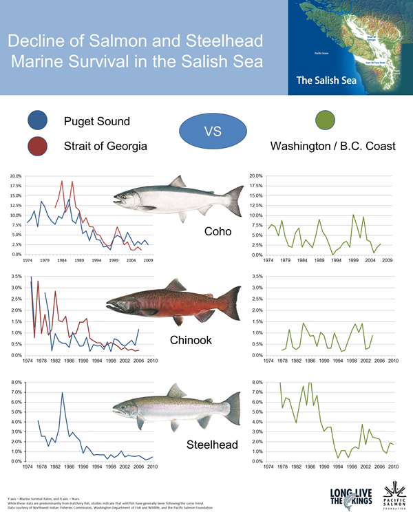 Decline-of-Marine-Survival-in-the-Salish-Sea2.png
