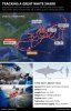 shark-graphic.jpg