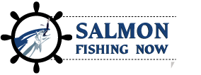 Salmon Fishing Now
